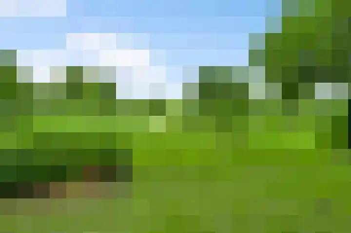 Baldessenweg 3 Nederweert-Eind thumbnail 48