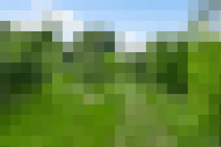 Baldessenweg 3 Nederweert-Eind thumbnail 49