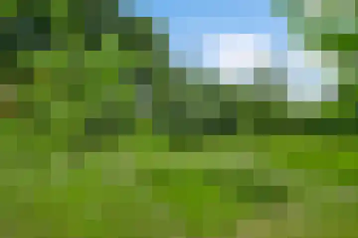 Baldessenweg 3 Nederweert-Eind thumbnail 50