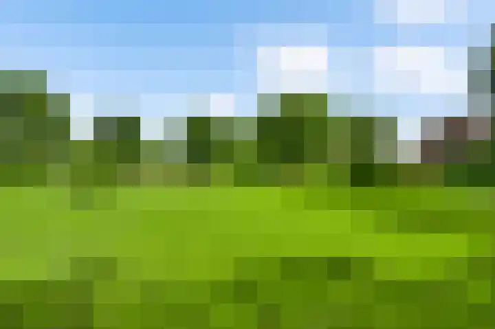 Baldessenweg 3 Nederweert-Eind thumbnail 51