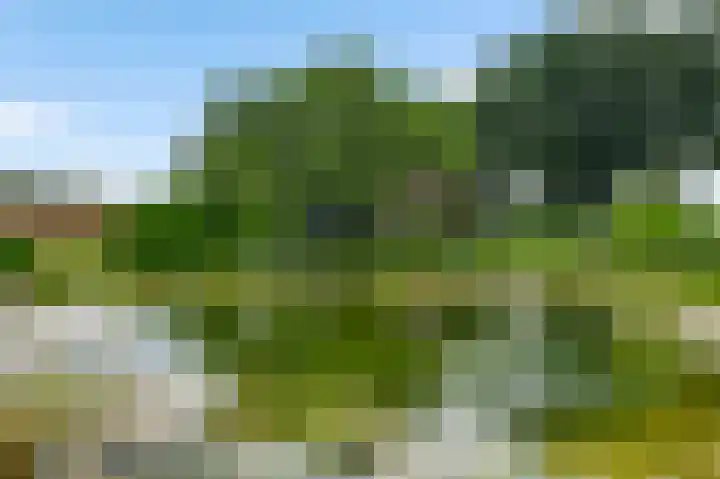 Baldessenweg 3 Nederweert-Eind thumbnail 52