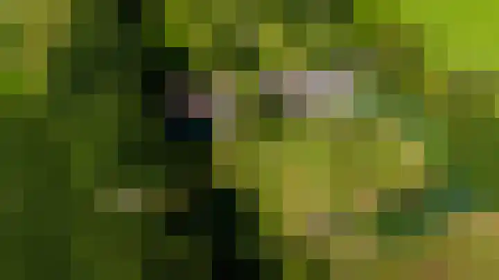 Baldessenweg 3 Nederweert-Eind thumbnail 55