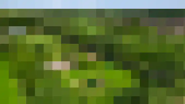 Baldessenweg 3 Nederweert-Eind thumbnail 56