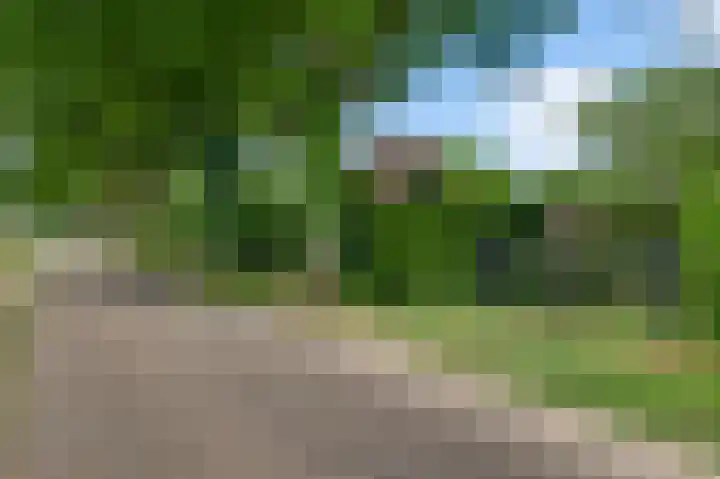 Baldessenweg 3 Nederweert-Eind thumbnail 6