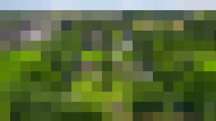 Baldessenweg 3 Nederweert-Eind thumbnail 60