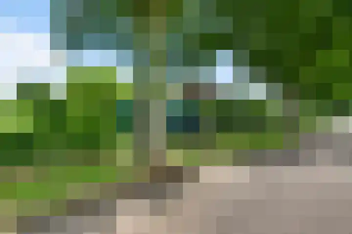 Baldessenweg 3 Nederweert-Eind thumbnail 61