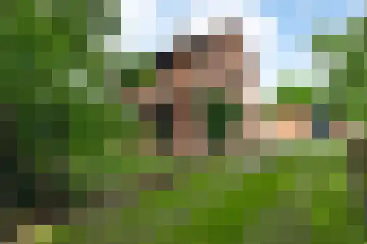Baldessenweg 3 Nederweert-Eind thumbnail 8