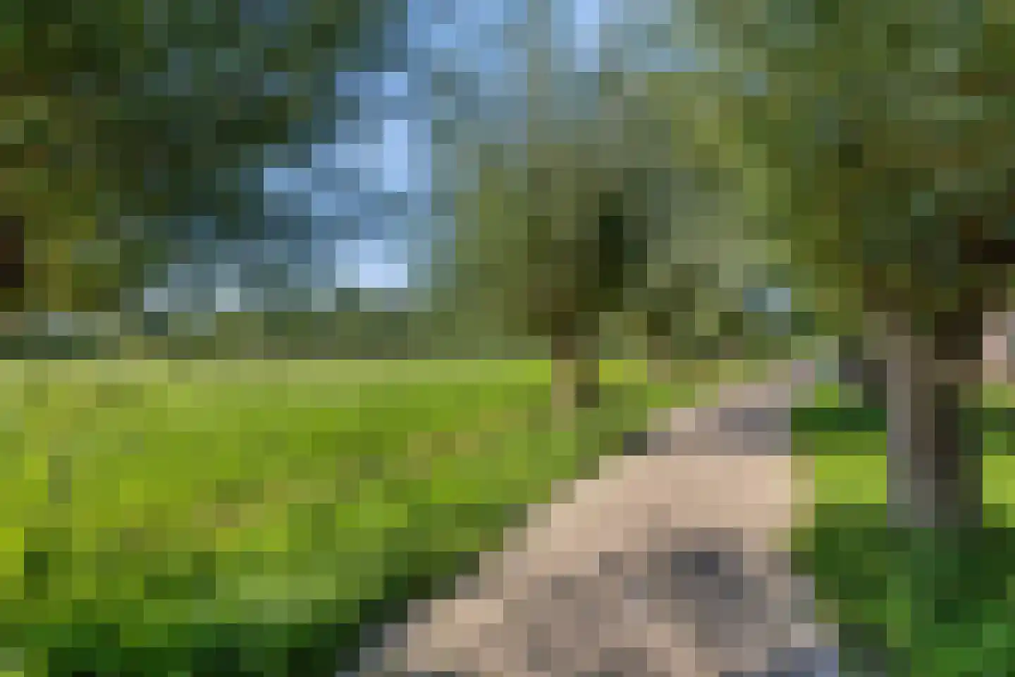 Balduinstraat 32 Lieshout thumbnail 26