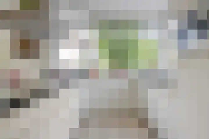 Balearen 1 Amersfoort thumbnail 10