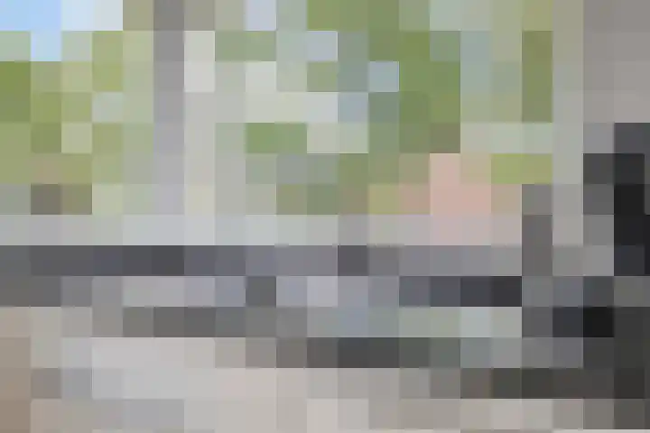 Balearen 1 Amersfoort thumbnail 11