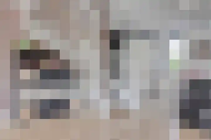 Balearen 1 Amersfoort thumbnail 13