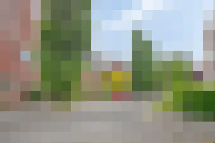 Balearen 1 Amersfoort thumbnail 30