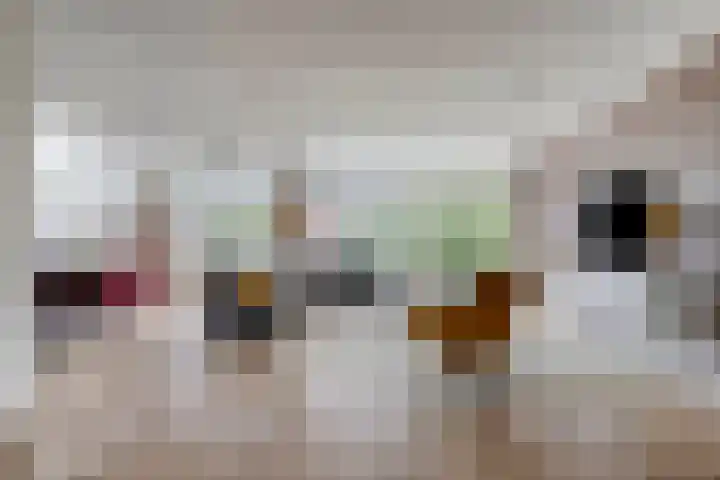 Balearen 1 Amersfoort thumbnail 4