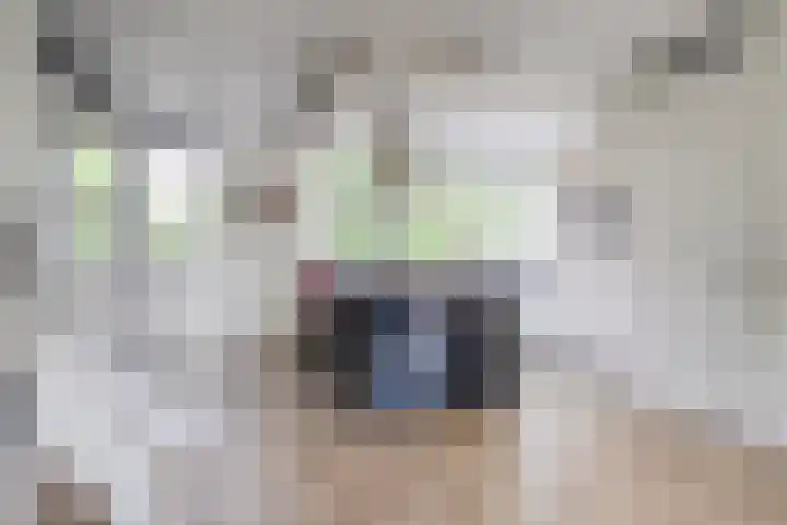 Balearen 1 Amersfoort thumbnail 9