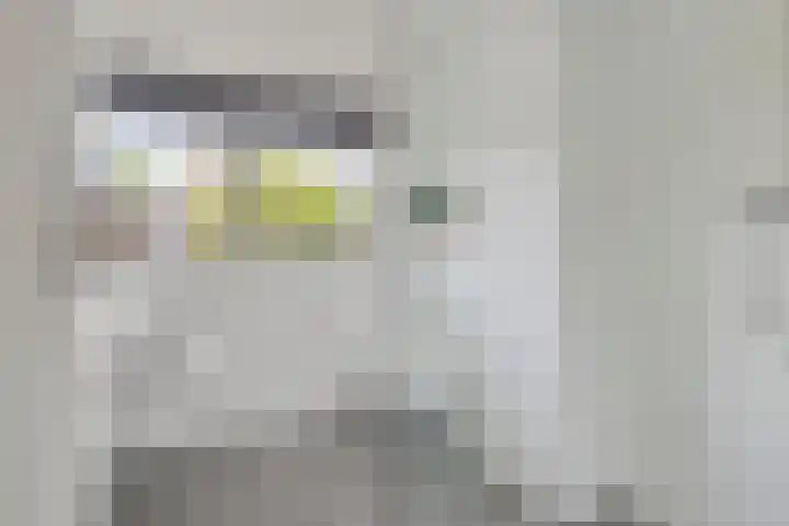Balearen 13 Amersfoort thumbnail 21