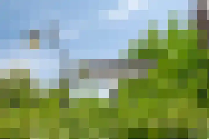 Balearen 13 Amersfoort thumbnail 31
