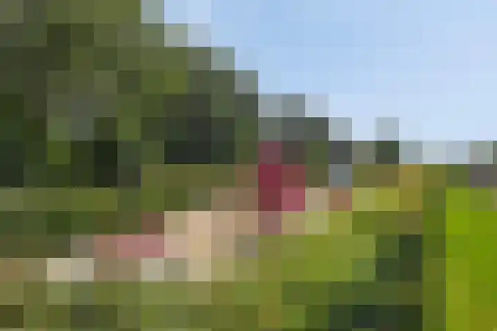Balearen 13 Amersfoort thumbnail 32