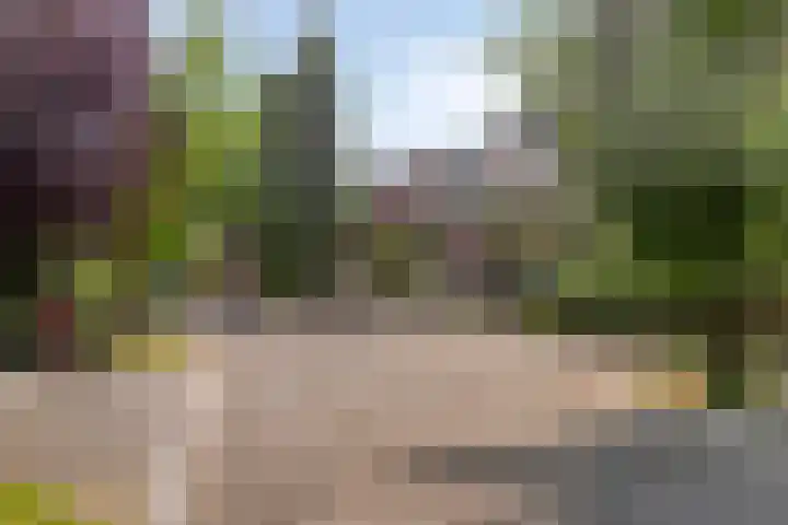 Balearen 13 Amersfoort thumbnail 33