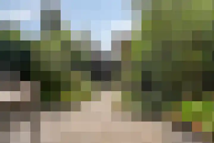 Balearen 13 Amersfoort thumbnail 8