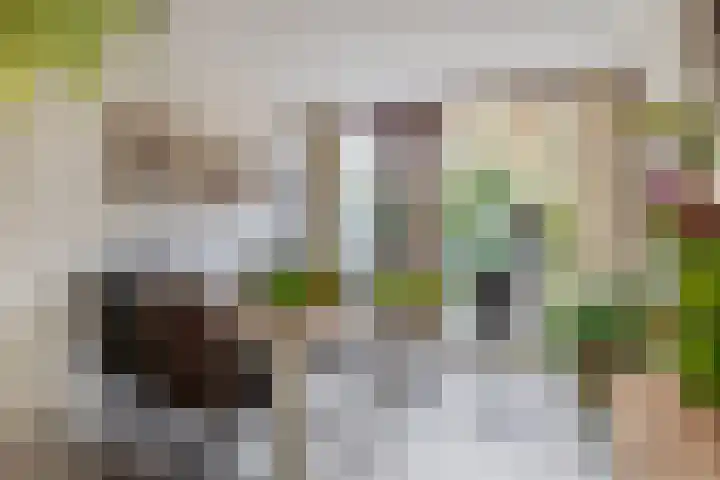 Balearen 16 Capelle aan den IJssel thumbnail 13
