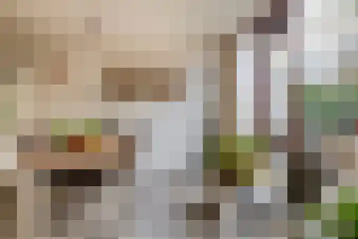 Balearen 16 Capelle aan den IJssel thumbnail 14