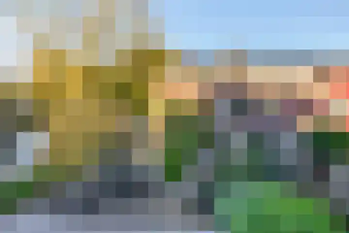 Balearen 16 Capelle aan den IJssel thumbnail 36