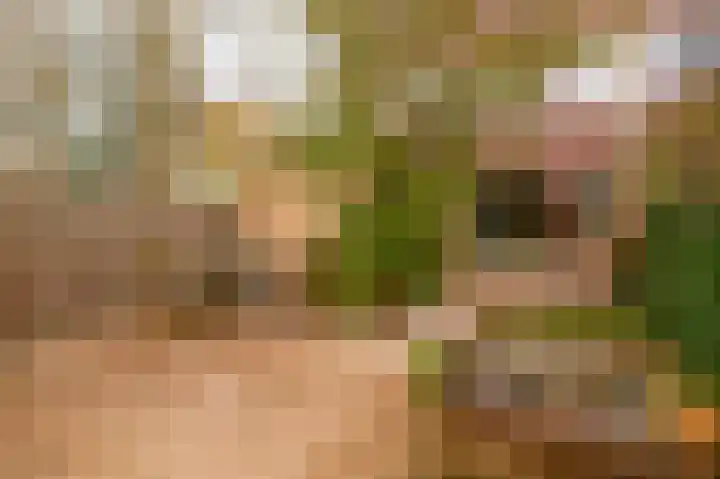 Balearen 16 Capelle aan den IJssel thumbnail 37