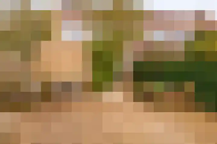Balearen 16 Capelle aan den IJssel thumbnail 38