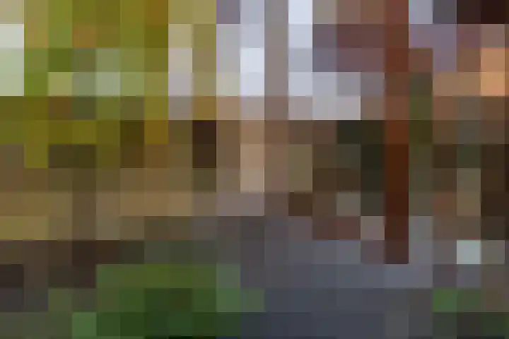 Balearen 16 Capelle aan den IJssel thumbnail 39