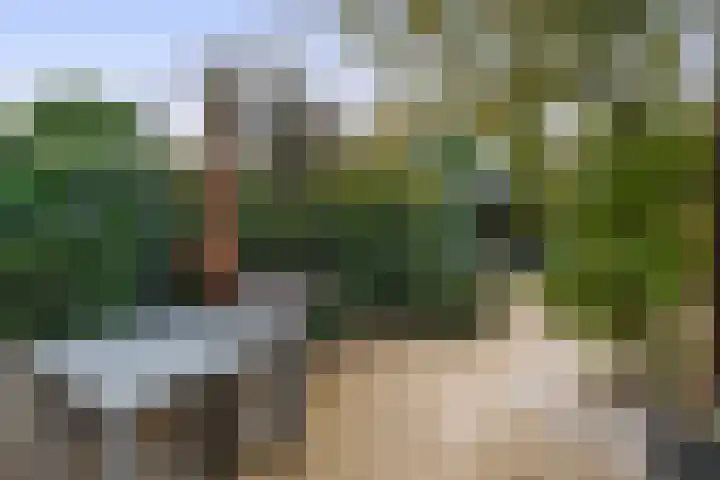 Balearen 16 Capelle aan den IJssel thumbnail 40
