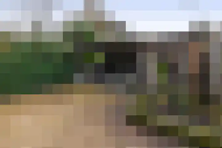 Balearen 16 Capelle aan den IJssel thumbnail 41