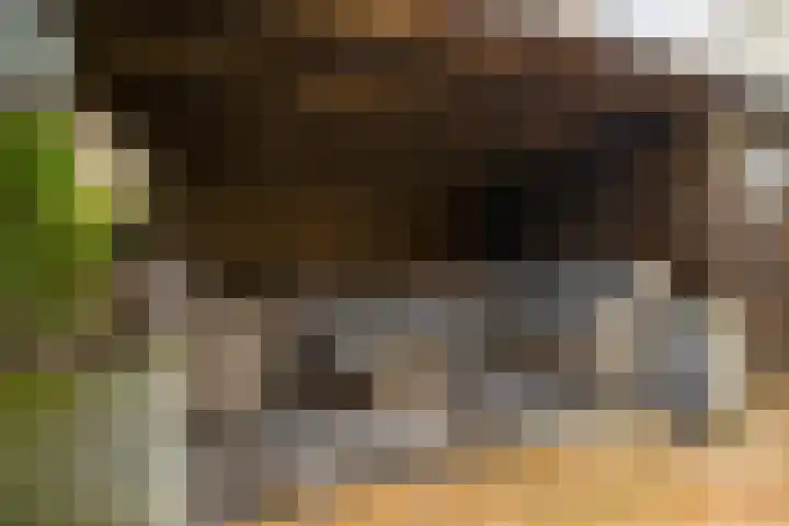 Balearen 16 Capelle aan den IJssel thumbnail 42