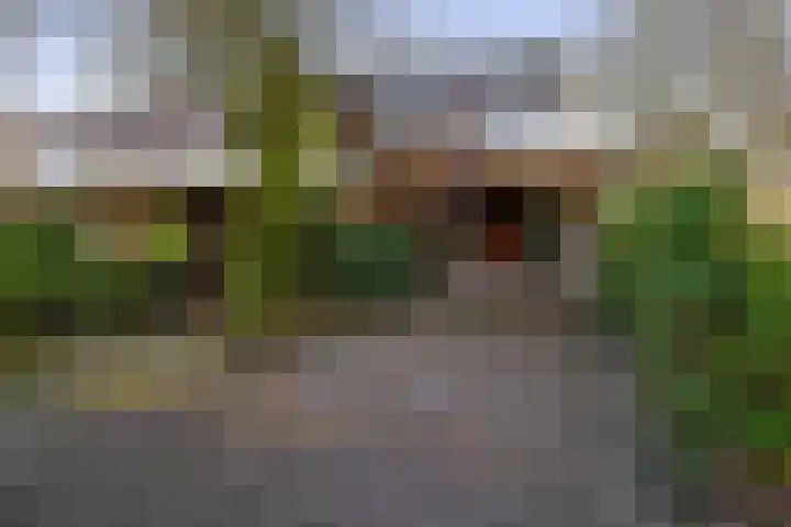 Balearen 16 Capelle aan den IJssel thumbnail 43