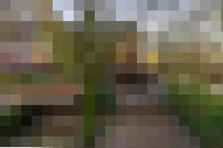 Balearen 16 Capelle aan den IJssel thumbnail 44