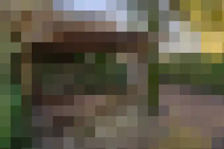 Balearen 16 Capelle aan den IJssel thumbnail 45