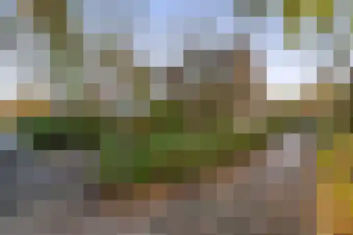 Balearen 16 Capelle aan den IJssel thumbnail 46