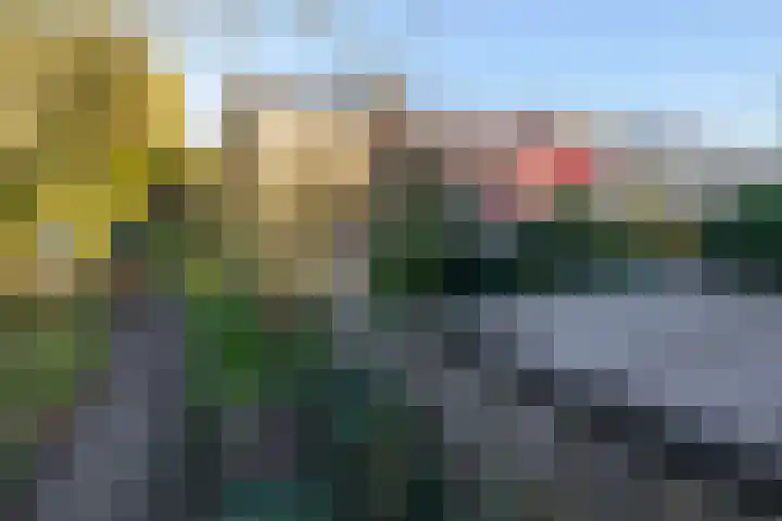 Balearen 16 Capelle aan den IJssel thumbnail 47