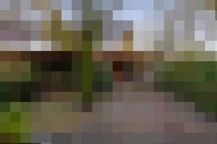 Balearen 16 Capelle aan den IJssel thumbnail 5