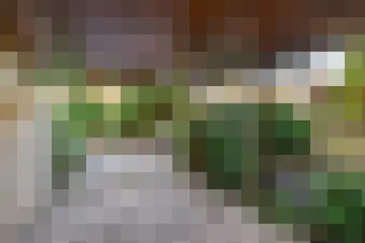 Balearen 16 Capelle aan den IJssel thumbnail 6