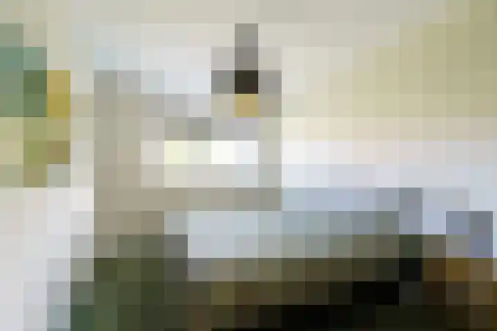 Balearen 19 Amersfoort thumbnail 15