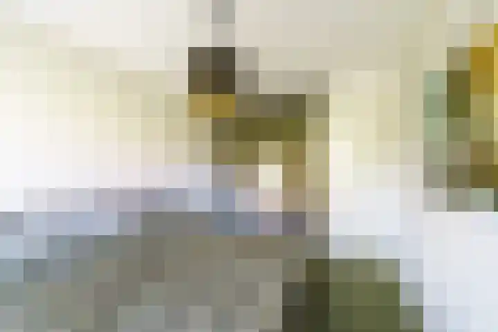 Balearen 19 Amersfoort thumbnail 16