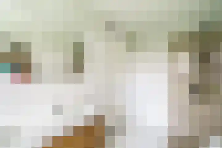 Balearen 19 Amersfoort thumbnail 22