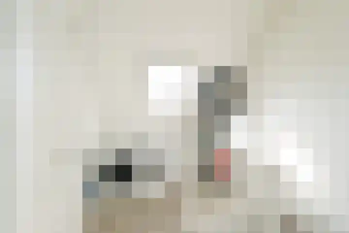 Balearen 19 Amersfoort thumbnail 26