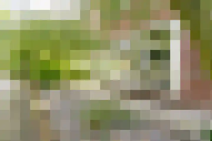Balearen 19 Amersfoort thumbnail 29