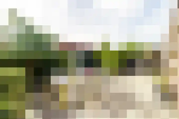 Balearen 19 Amersfoort thumbnail 32