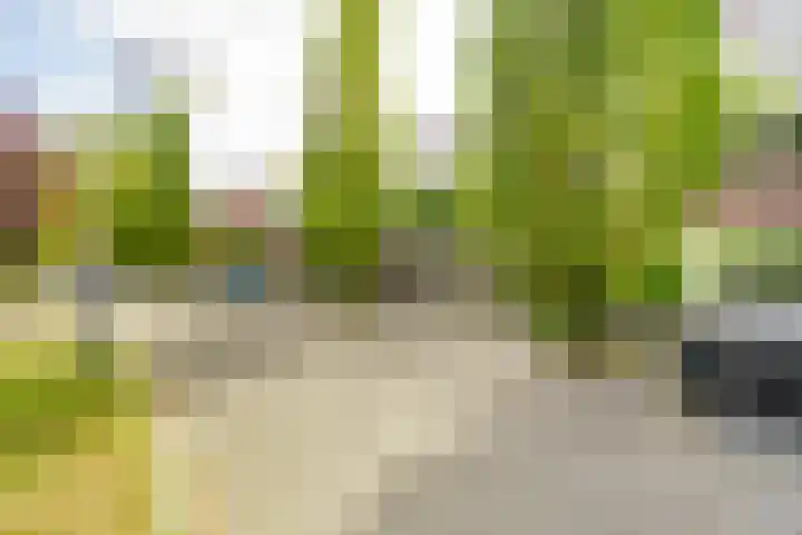 Balearen 19 Amersfoort thumbnail 35