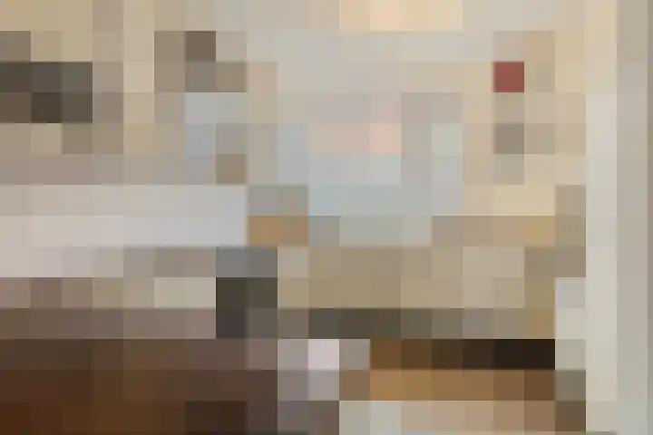 Balearen 20 Utrecht thumbnail 15