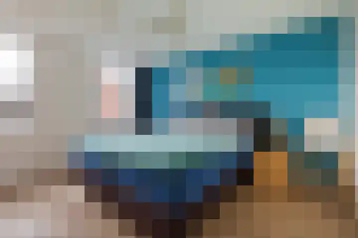 Balearen 20 Utrecht thumbnail 18