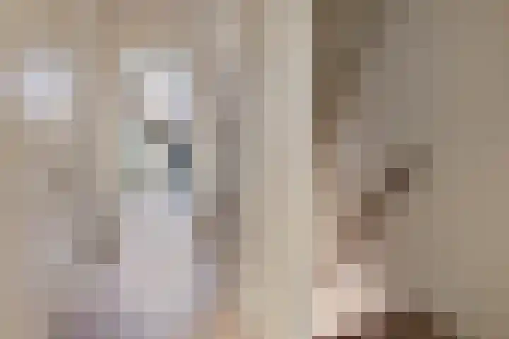 Balearen 20 Utrecht thumbnail 25