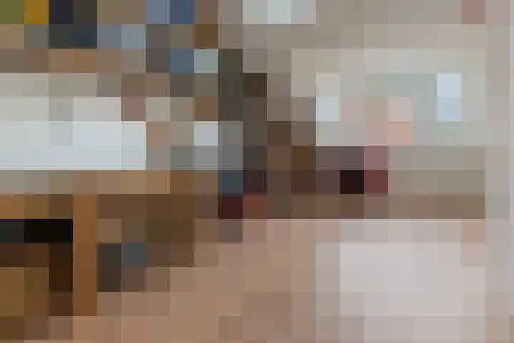 Balearen 20 Utrecht thumbnail 26
